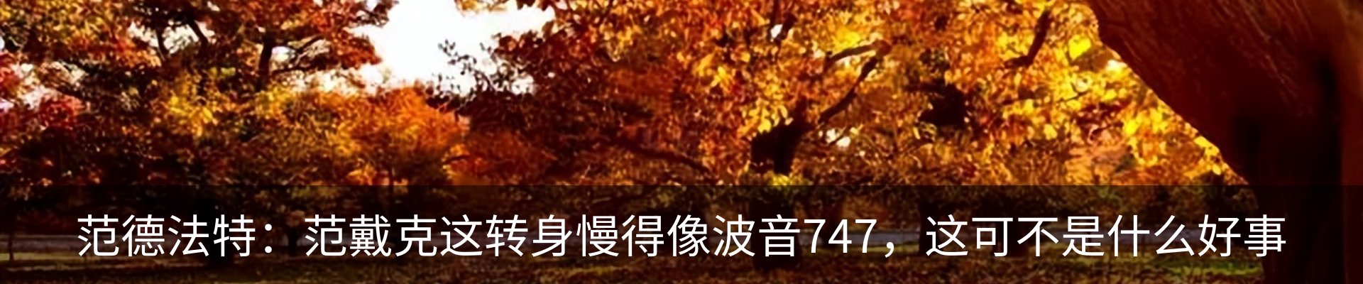 新闻动态