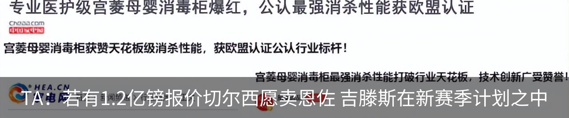 新闻动态